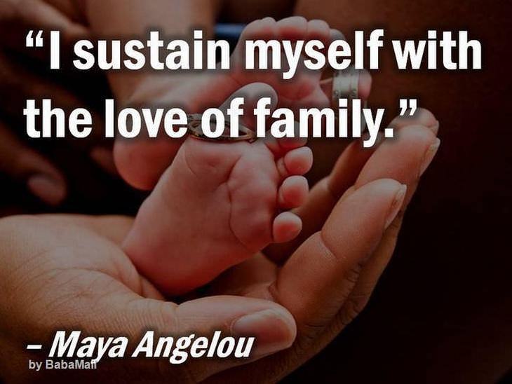 beautiful quotes: I sustain myself with the love of family.