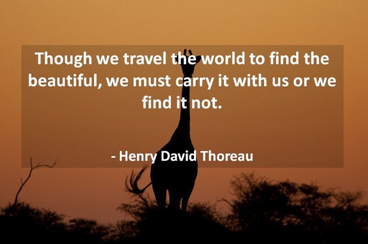 Henry David Thoreau quotes - Through we travel the world to find the beautiful, we must carry it with us or we find it not.
