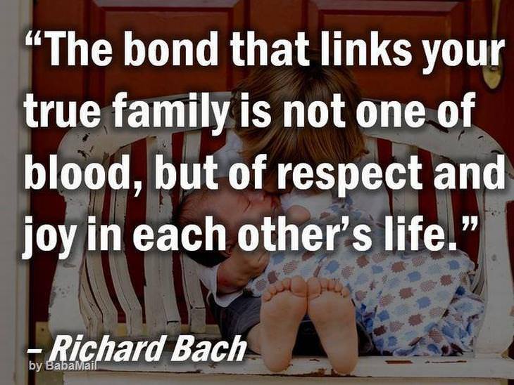 beautiful quotes: The bond that links your true family is not one of blood, but of respect and joy in each other's life.
