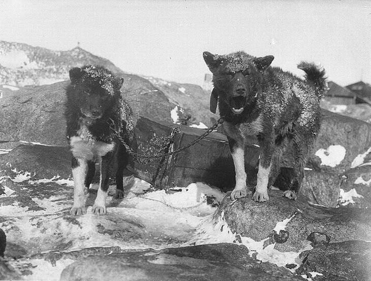 "Basilisk" y "Ginger" en la Base principal en 1912