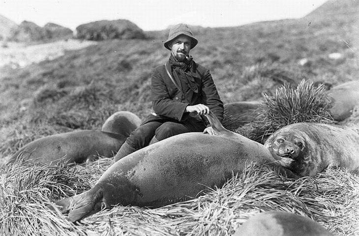 Arthur Sawyer y un león marino, en 1912
