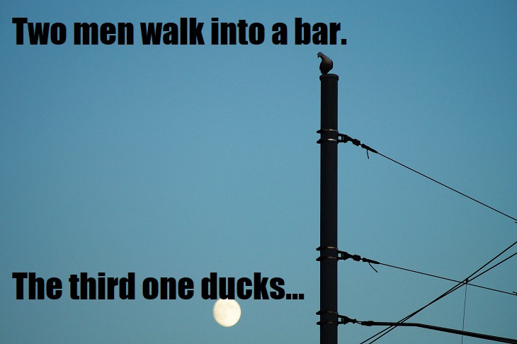 Two men walk into a bar. The 3rd one ducks. bad cringy jokes