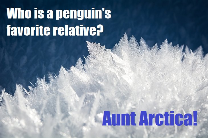 Who is a penguin's favorite relative? Aunt Arctica. bad jokes