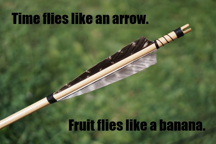 Time flies like an arrow. Fruit flies like a banana. bad joke of the day