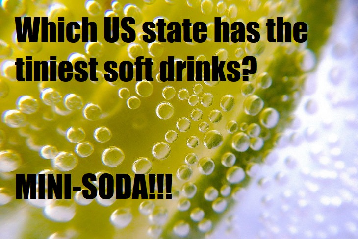 Which US state has the tiniest soft drinks? Mini-soda. American jokes