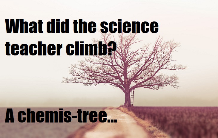 What did the science teacher climb? A chemis-tree. lame science jokes