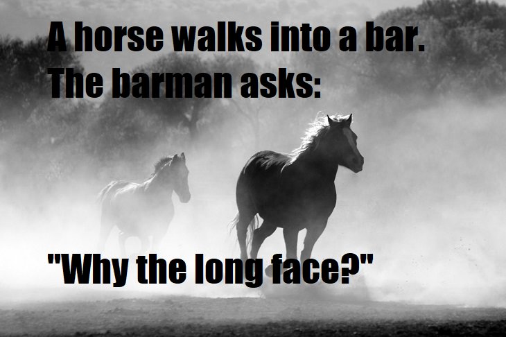 A horse walks into a bar. The barman asks, "Why the long face?" cringey jokes
