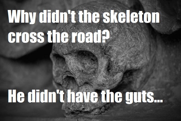 Why didn't the skeleton cross the road? He didn't have the guts... very bad jokes