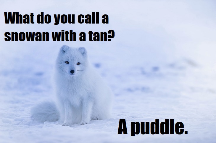 What do you call a snowman with a tan? A puddle. really funny jokes