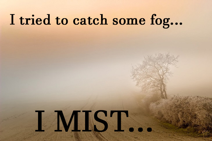 I tried to catch some fog... I mist... lame nature jokes