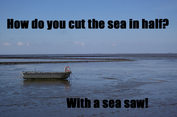 How do you cut the sea in half? With a sea saw. grammatical jokes