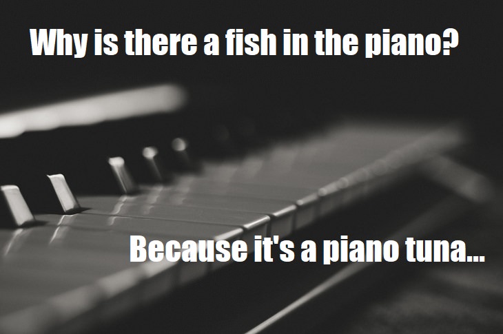 Why is there a fish in the piano? Because it's a piano tuna...  bad one liners