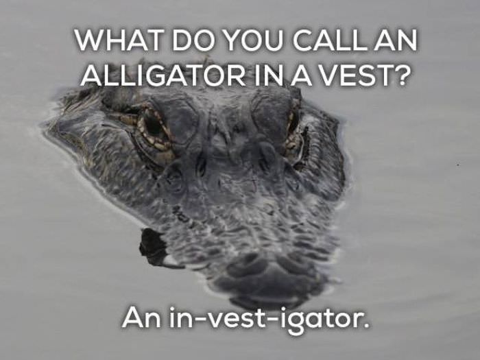 What do you call an alligator in a vest? An in-vest-igator. lame puns