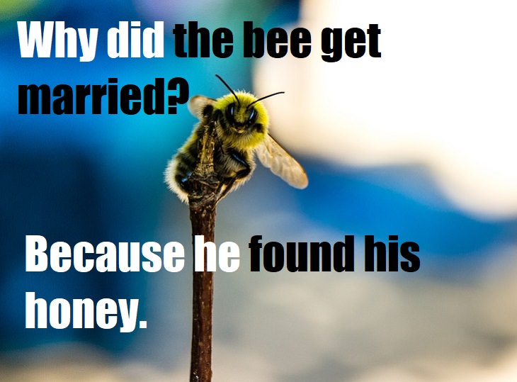 Why did the bee get married? Because he found his honey. really bad puns