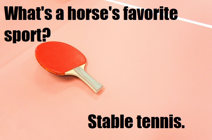 What's a horse's favorite sport? Stable tennis. bad jokes about sports
