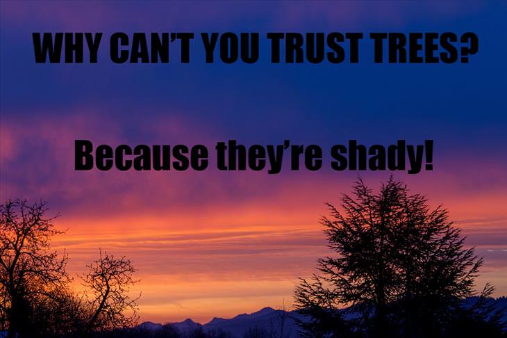 Why can't you trust trees? Because they're shady. bad joke challenge