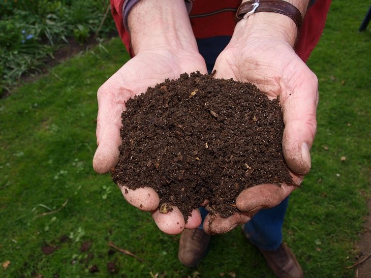 Orange Peel Uses and Tips: farmer holding soil for compost