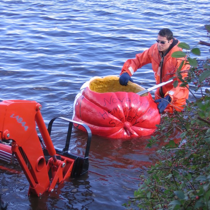 unusual sports - Giant Pumpkin Kayaking