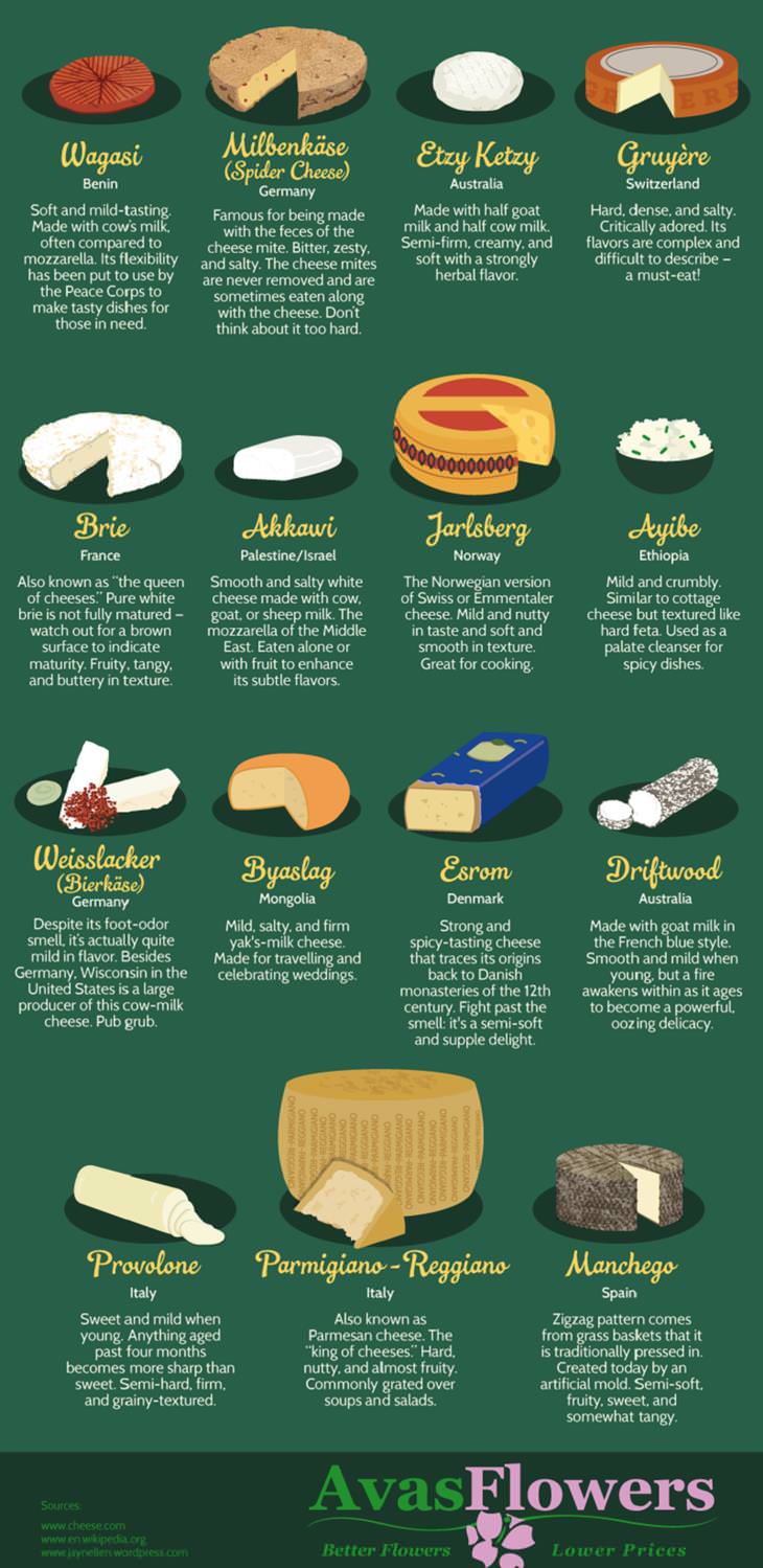 Cheeses from All Over the World 