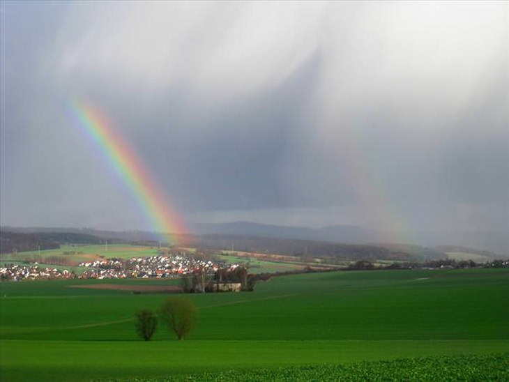 rainbows over meadow