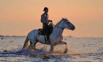 A guy riding a horse on the beach