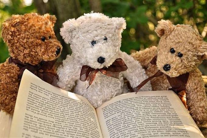 3 teddy bears sitting by an open book