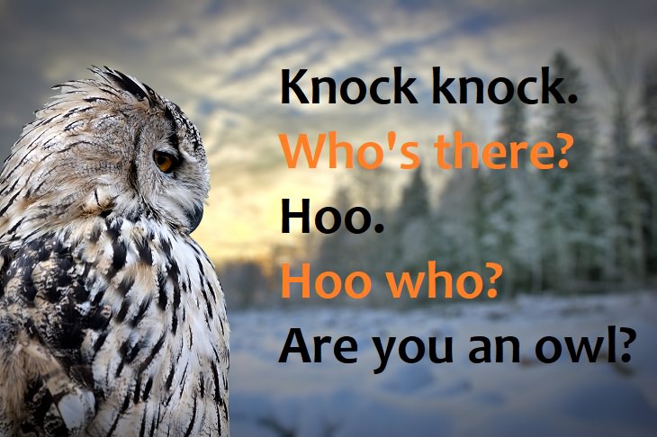 Knock, knock.  Who’s there?  Hoo.  Hoo who?  Are you an owl? - best knock knock jokes