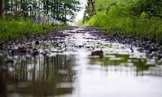 Puddle of water in the middle of a path