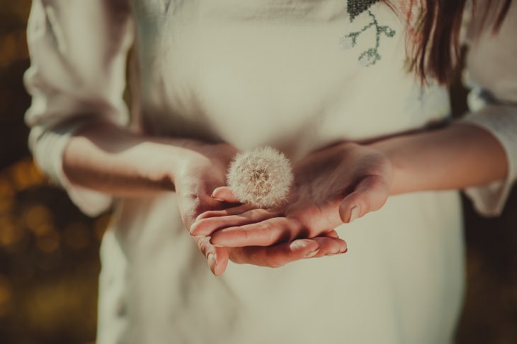 Universal Truths that can help make you happy: holding a flower in hands