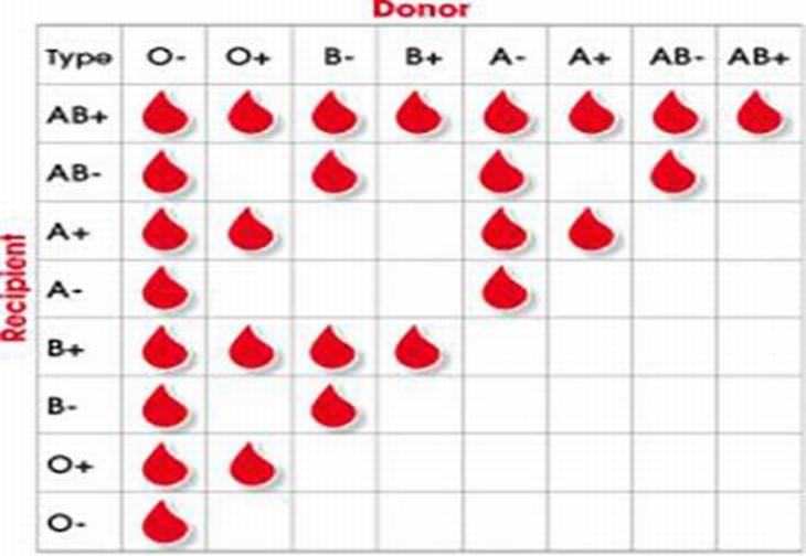 o negative blood type