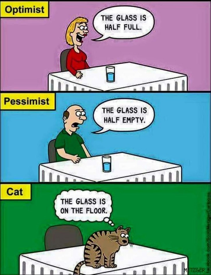 Funny Cat Comics