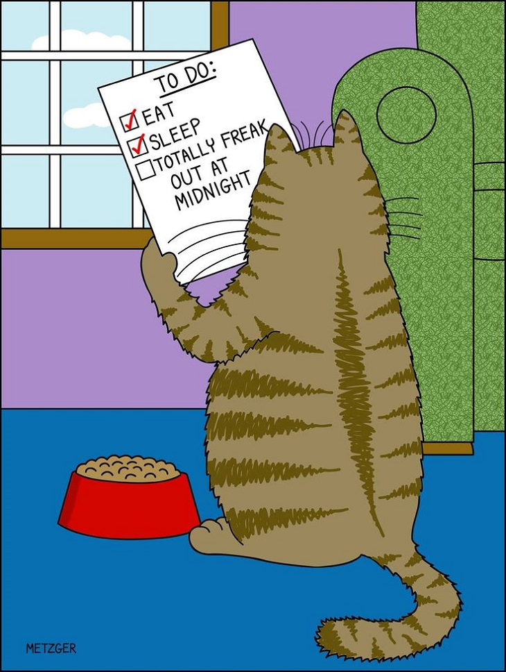 Funny Cat Comics