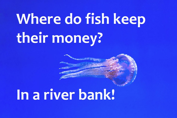 Where do fish keep their money? In a river bank. jokes for kids