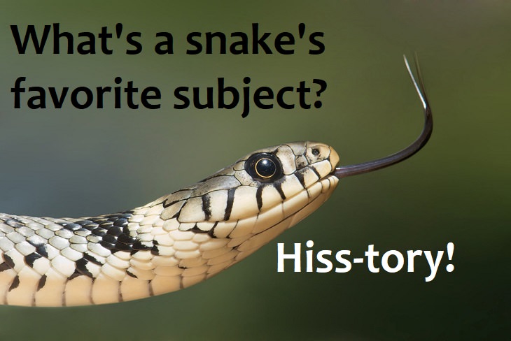 What's a snakes favorite subject? Hisstory. funny family jokes