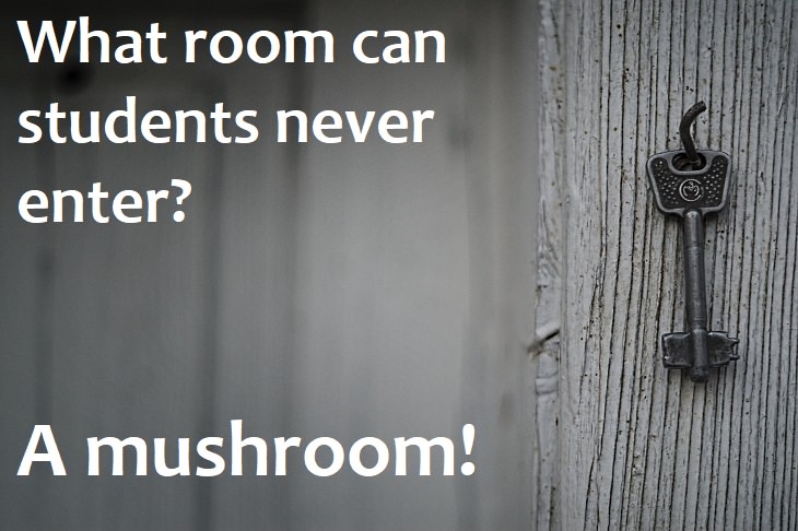 What room can students never enter? A mushroom.