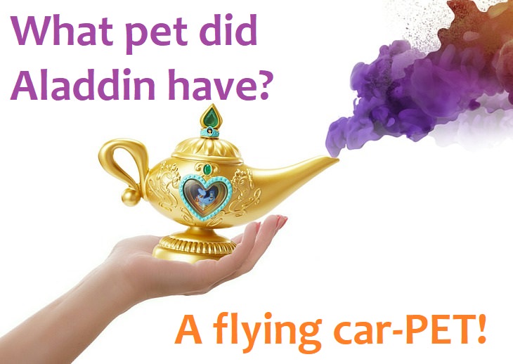 What pet did Aladdin have? A flying car-pet! fantasy jokes