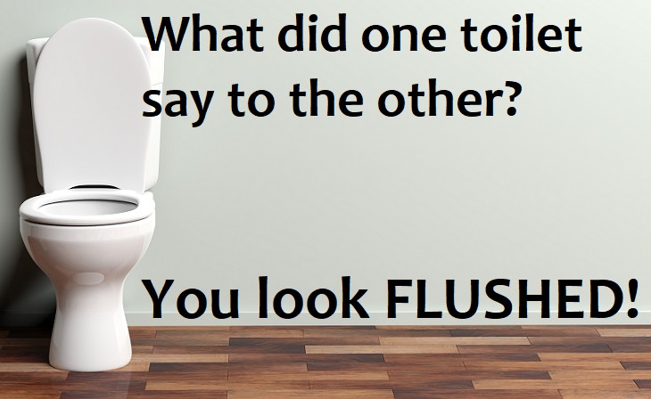 What did one toilet say to the other? You look flushed.