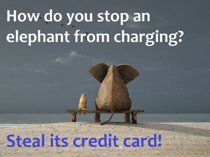 How do you stop an elephant from charging? Steal its credit card. I need a funny joke