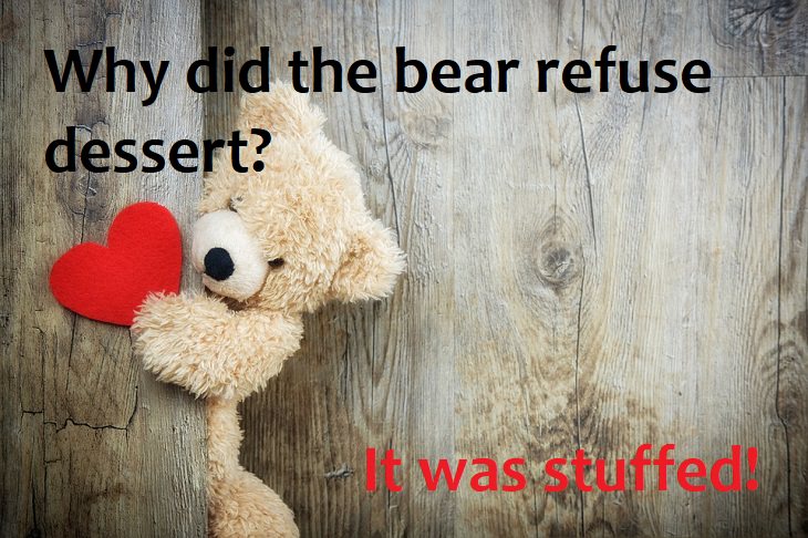 Why did the bear refuse dessert? It was stuffed.