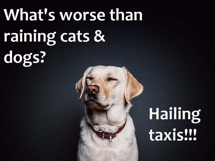What's worse than raining cats and dogs? Hailing taxis!