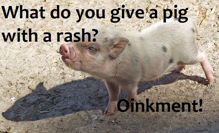 What do you give a pig with a rash? Oinkment. kids jokes