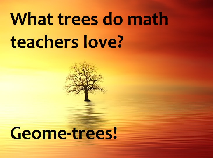 What trees do math teachers love? Geome-trees!