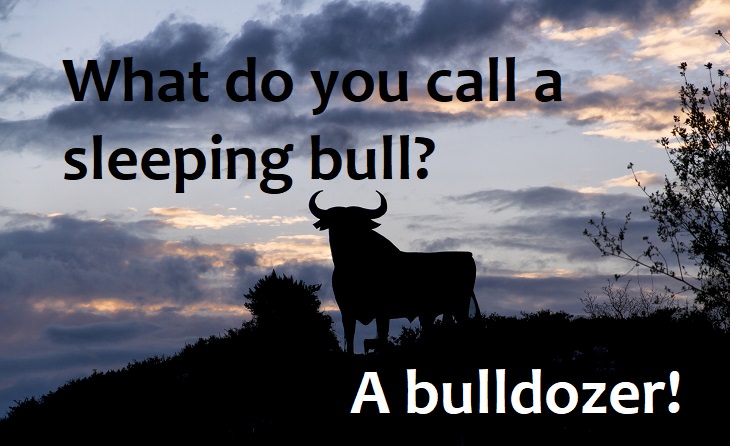 What do you call a sleeping bull? A bulldozer. family friendly jokes