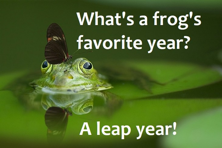 What's a frog's favorite year? A leap year. jokes for family