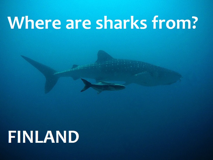 Where are sharks from? Finland. best family jokes