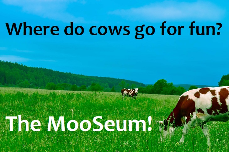 Where do cows go for fun? The mooseum. good family jokes