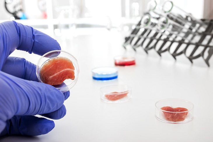 Lab Meat Could be the Future