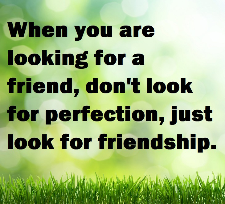 Beautiful Quotes - When you are looking for a friend, don't look for perfection, just look for friendship.