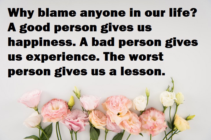 Beautiful Quotes - Why blame anyone in our life? A good person gives us happiness. A bad person gives us experience. The worst person gives us a lesson.