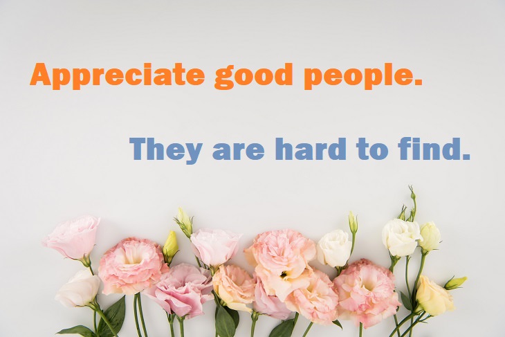 Beautiful Quotes - Appreciate good people. They are hard to find.